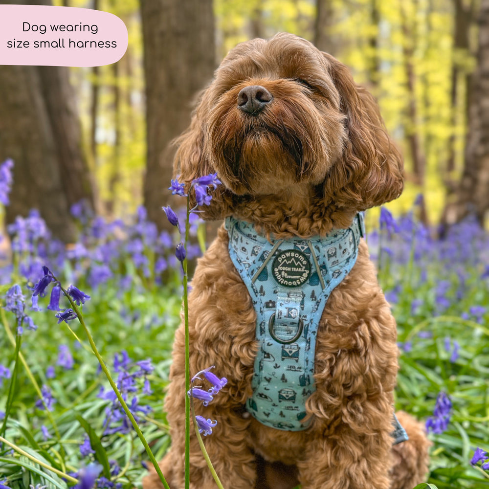 Tough Trails™ Harness - Reuben's Roadtrip