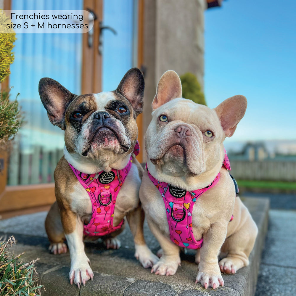Tough Trails™ Harness - Candypop