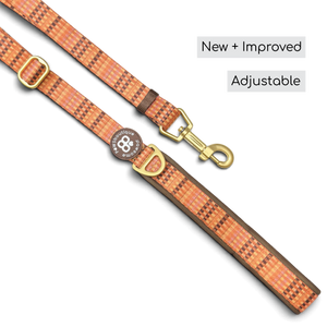 AdjustFit Lead - Golden Acre
