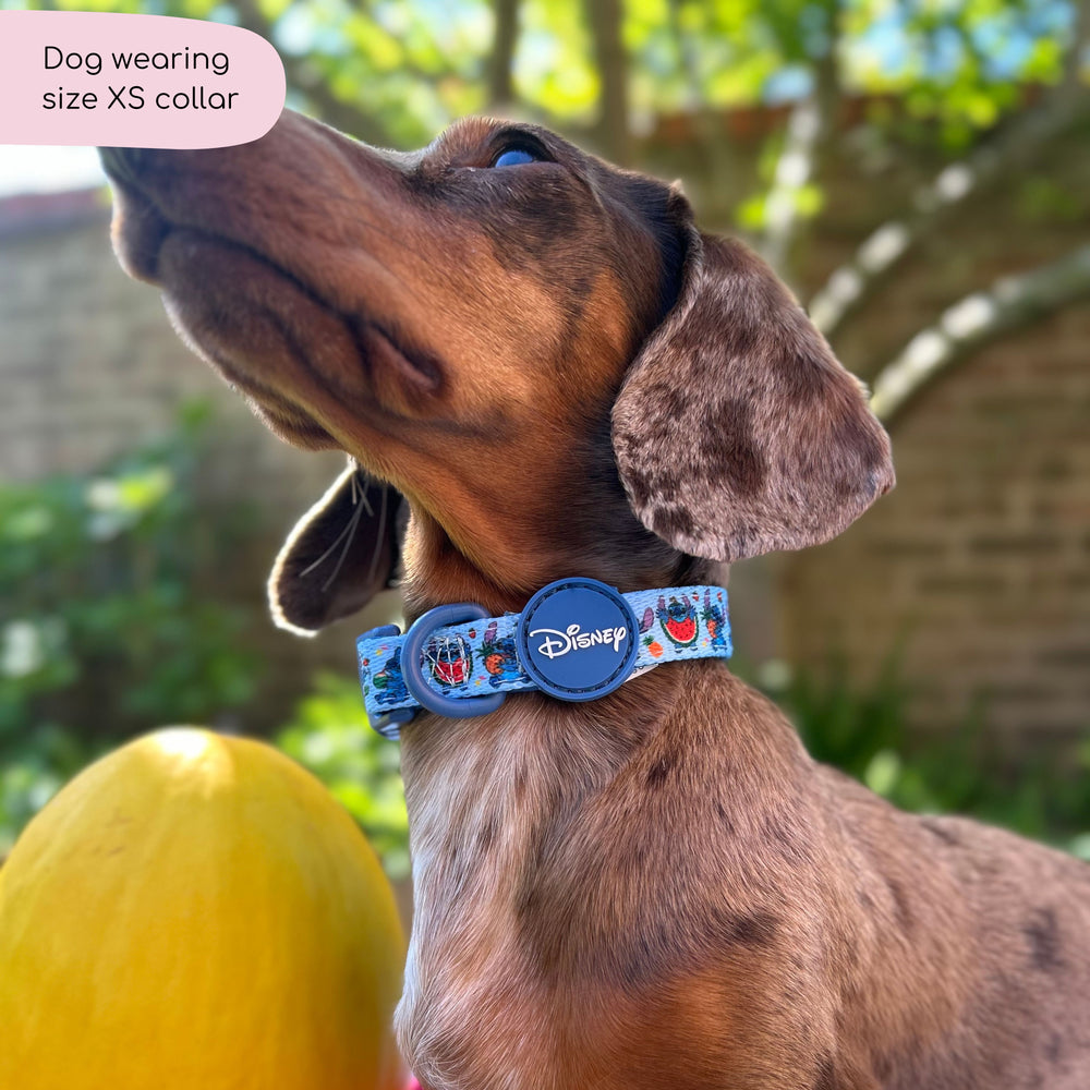 Disney© Collar - Stitch's Fruit Fiesta