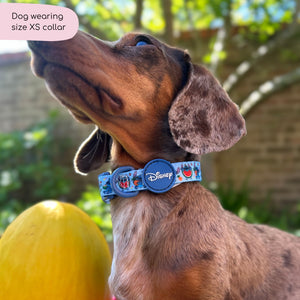 Disney© Collar - Stitch's Fruit Fiesta