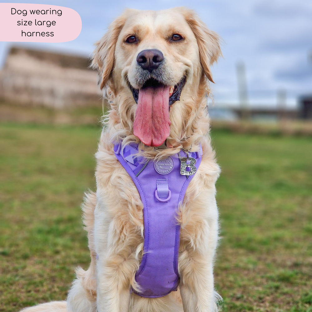 Tough Trails™ Harness - Walkies Ready® Lavender Lilac