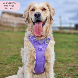 Tough Trails™ Harness - Walkies Ready® Lavender Lilac