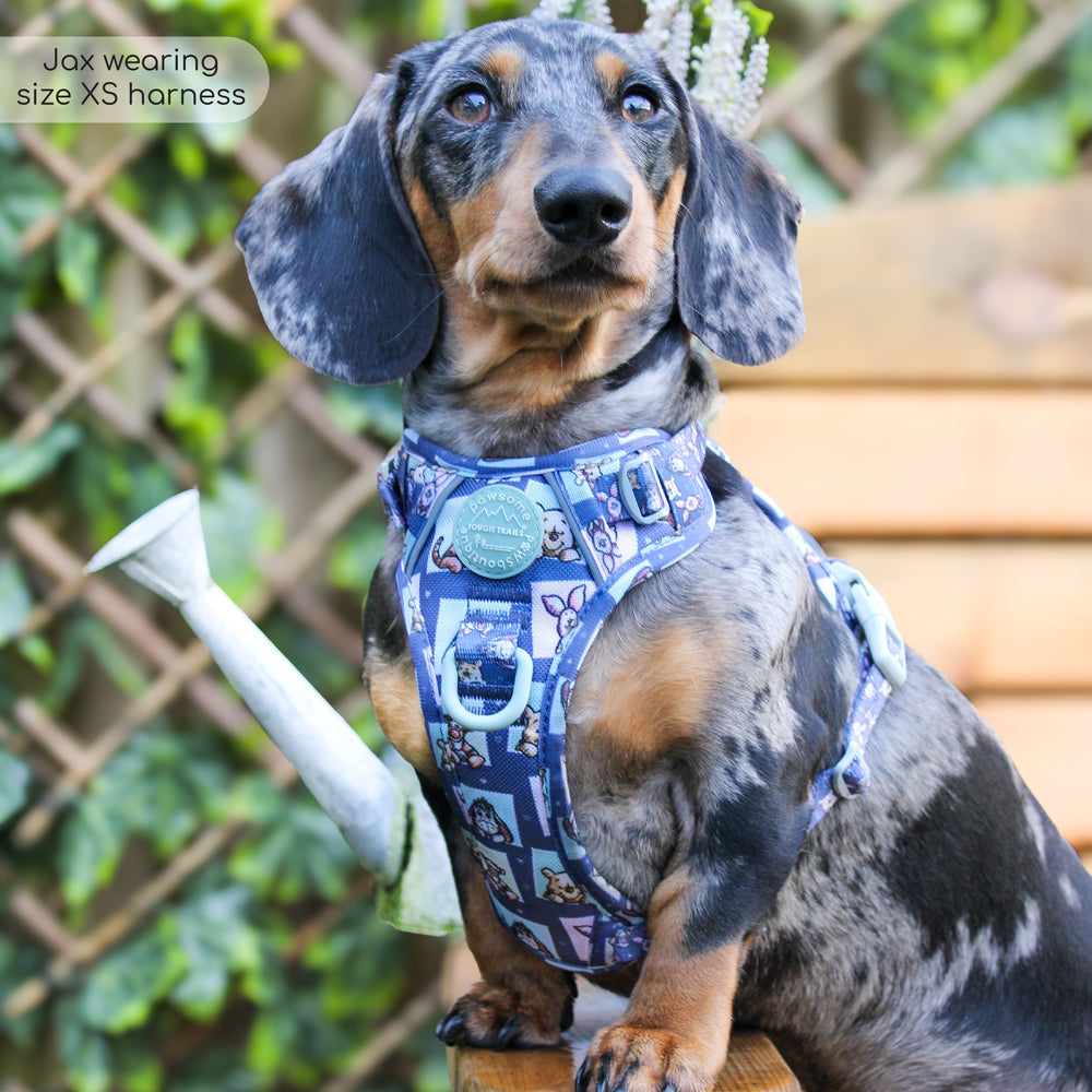 Disney© Tough Trails™ Harness -  Winnie + Friends