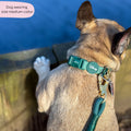 Disney© Waterproof Collar - Jungle Book