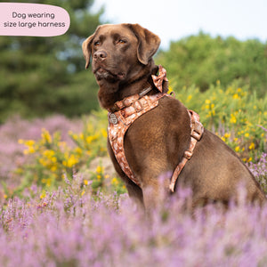 Tough Trails™ Harness - Cinnamon Spice