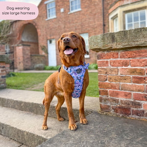 Tough Trails™ Harness - Tiny Diny