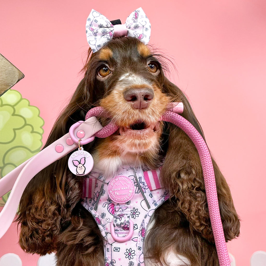 Disney© 4ft Rope Lead - Piglet - Pink