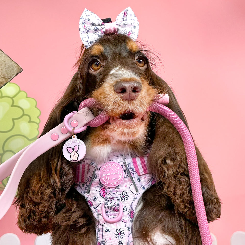 Disney© 4ft Rope Lead - Piglet - Pink