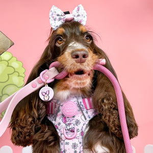 Disney© 4ft Rope Lead - Piglet - Pink