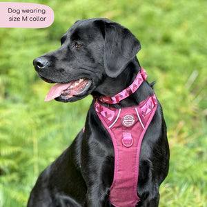 Collar - Walkies Ready® Mulberry