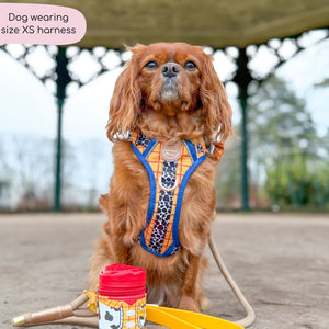 Disney© Tough Trails™ Harness - Woody