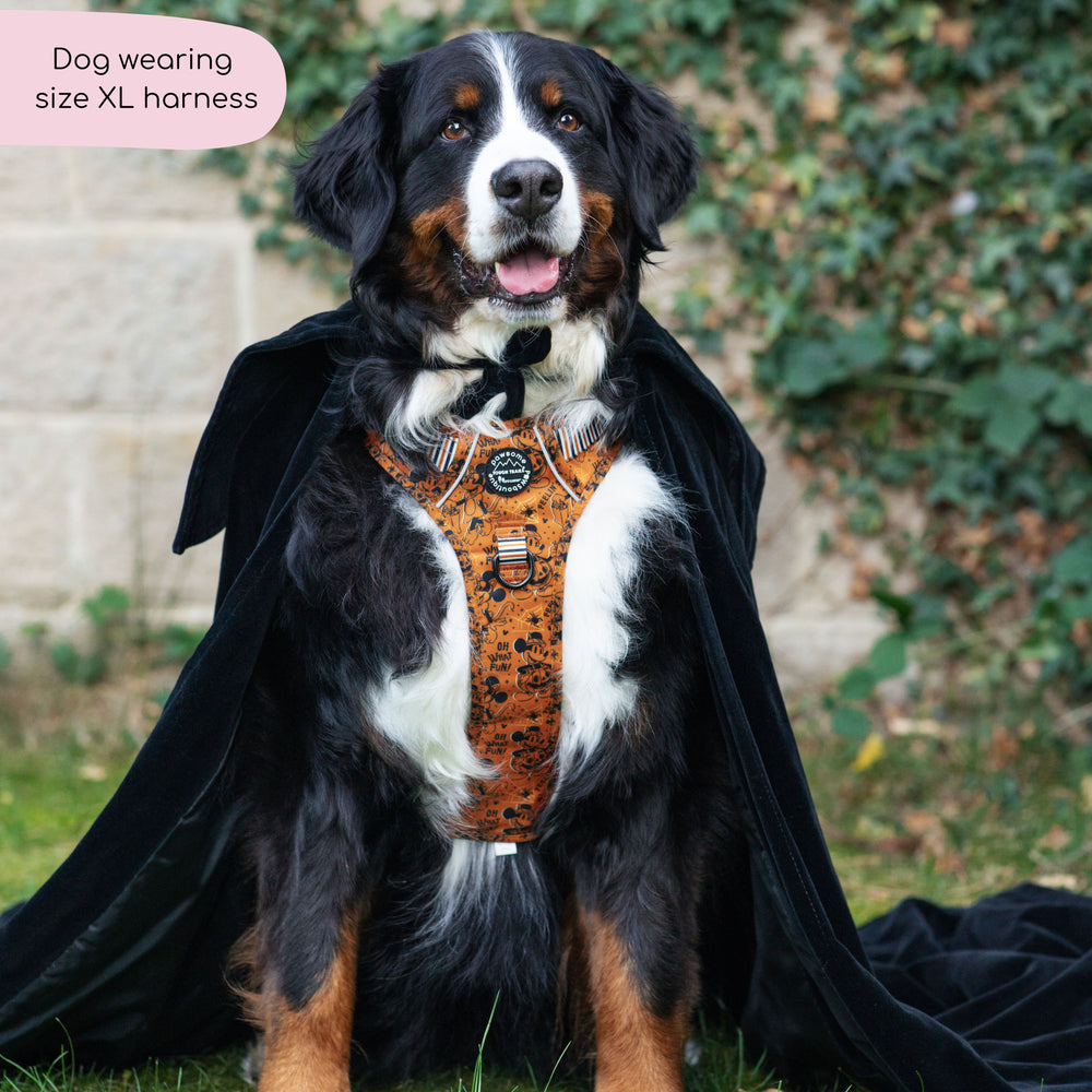 Disney© Tough Trails™ Harness - Halloween