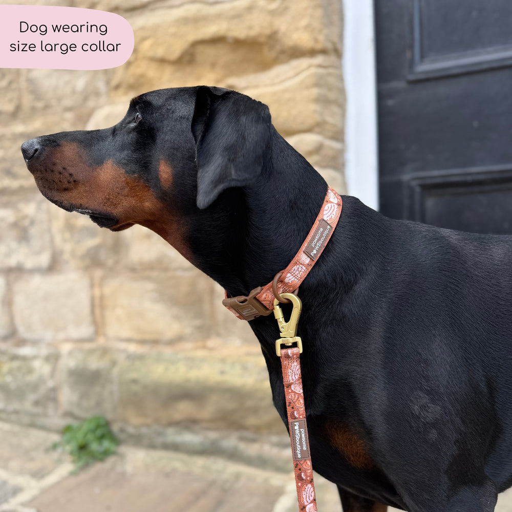 Collar - Cinnamon Spice