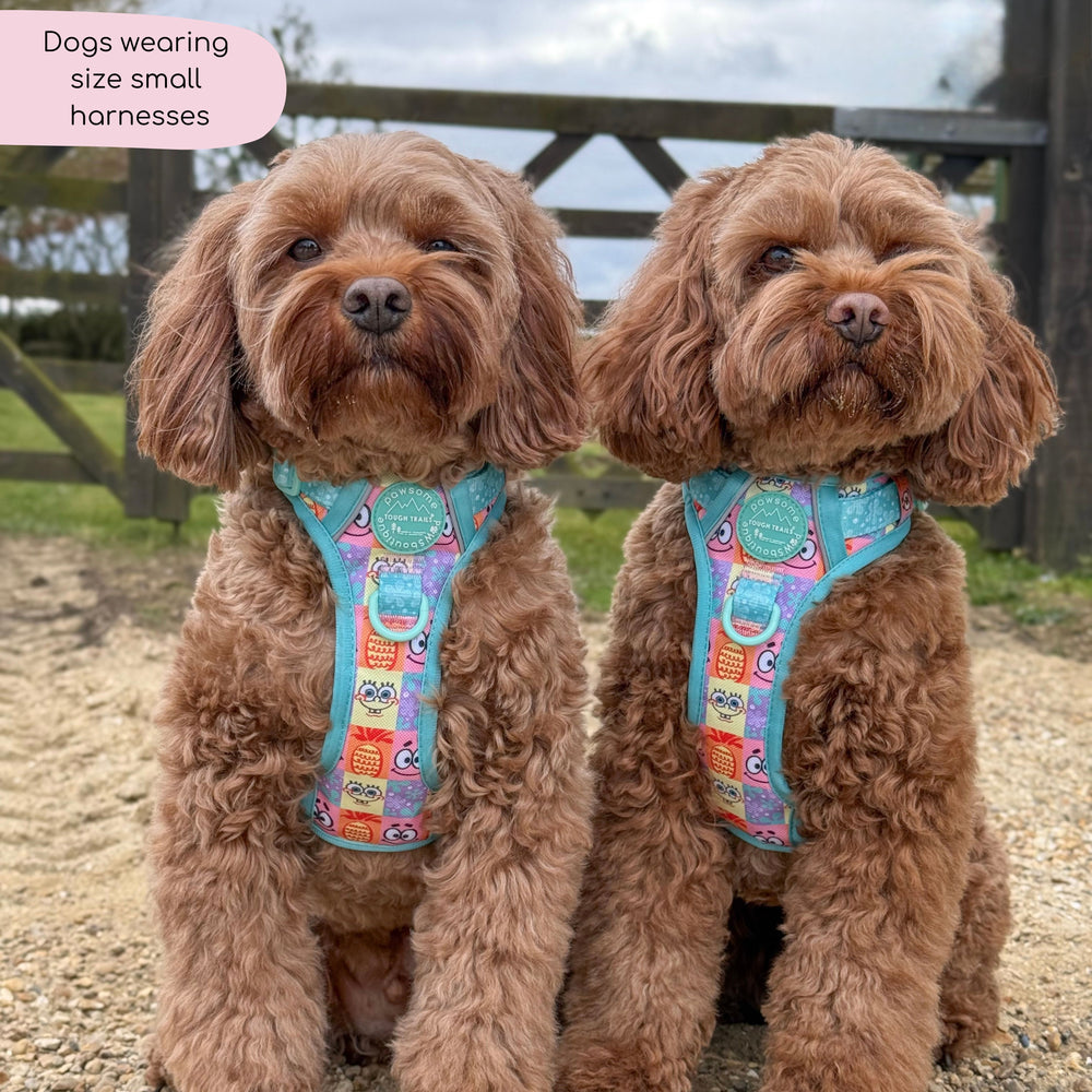 Tough Trails™ Harness - Spongebob