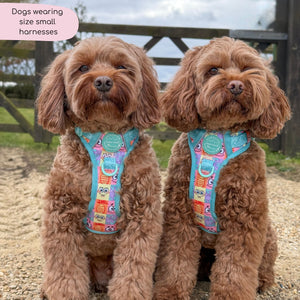 Tough Trails™ Harness - Spongebob