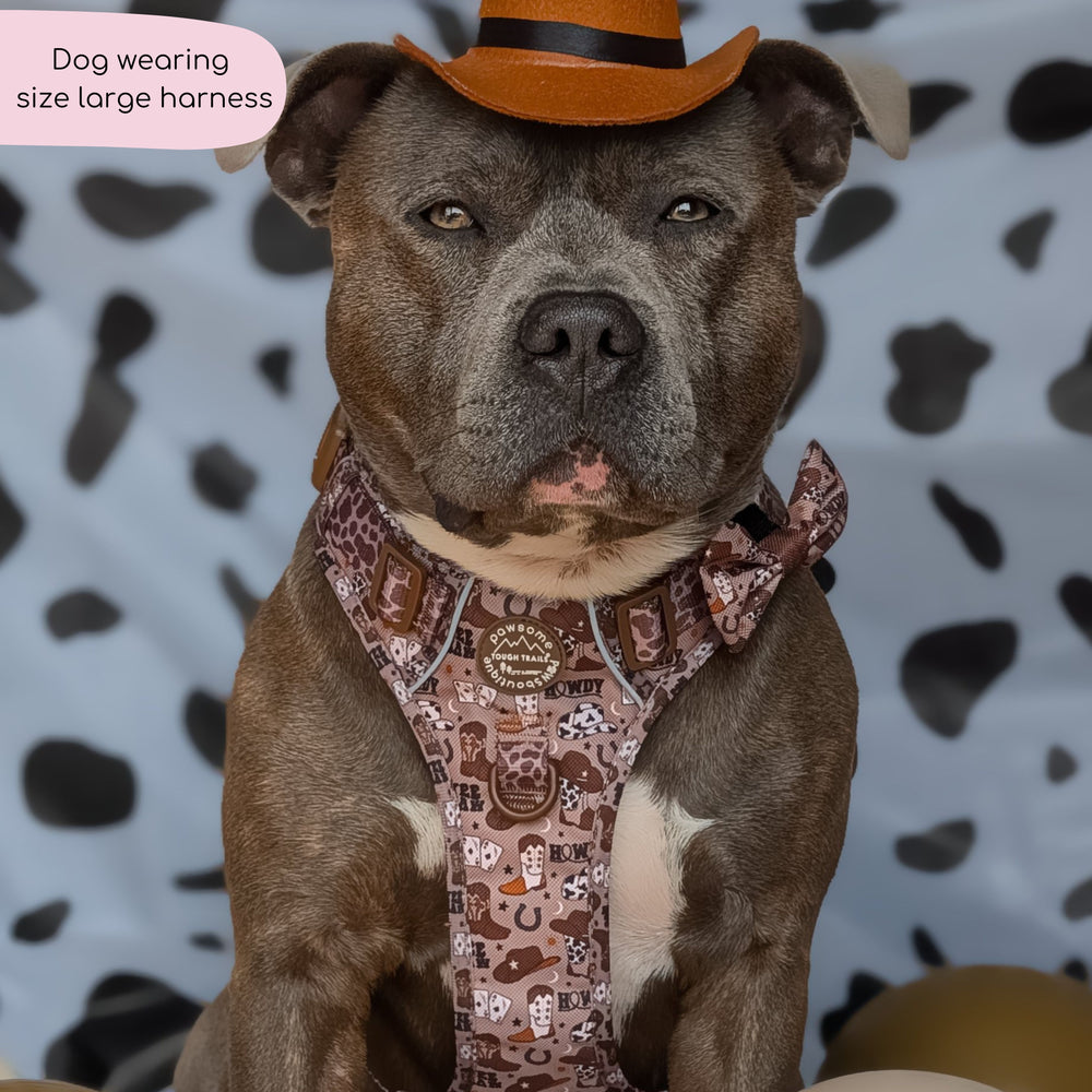 Tough Trails™ Harness -  Cowboy