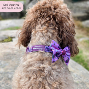 Collar - Roaming Wild