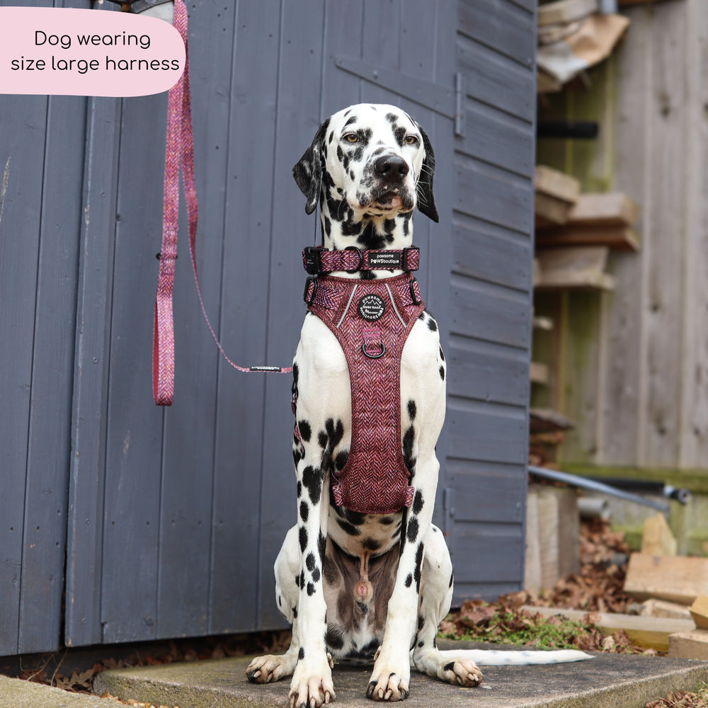 Tough Trails™ Harness - Country Burgundy