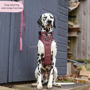Tough Trails™ Harness - Country Burgundy
