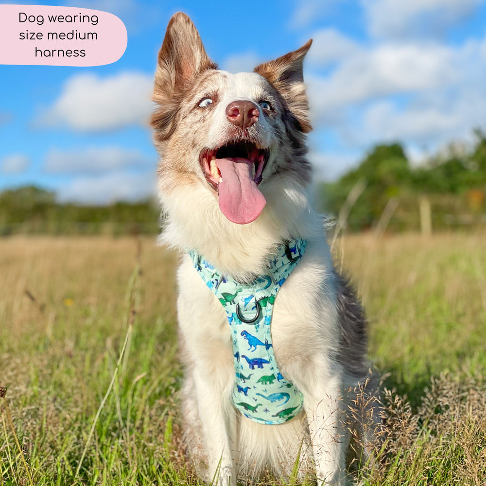 Tough Trails™ Harness - Dinky Dino