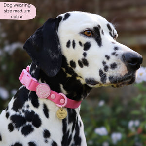 Waterproof Collar - Walkies Ready® Raspberry Pink