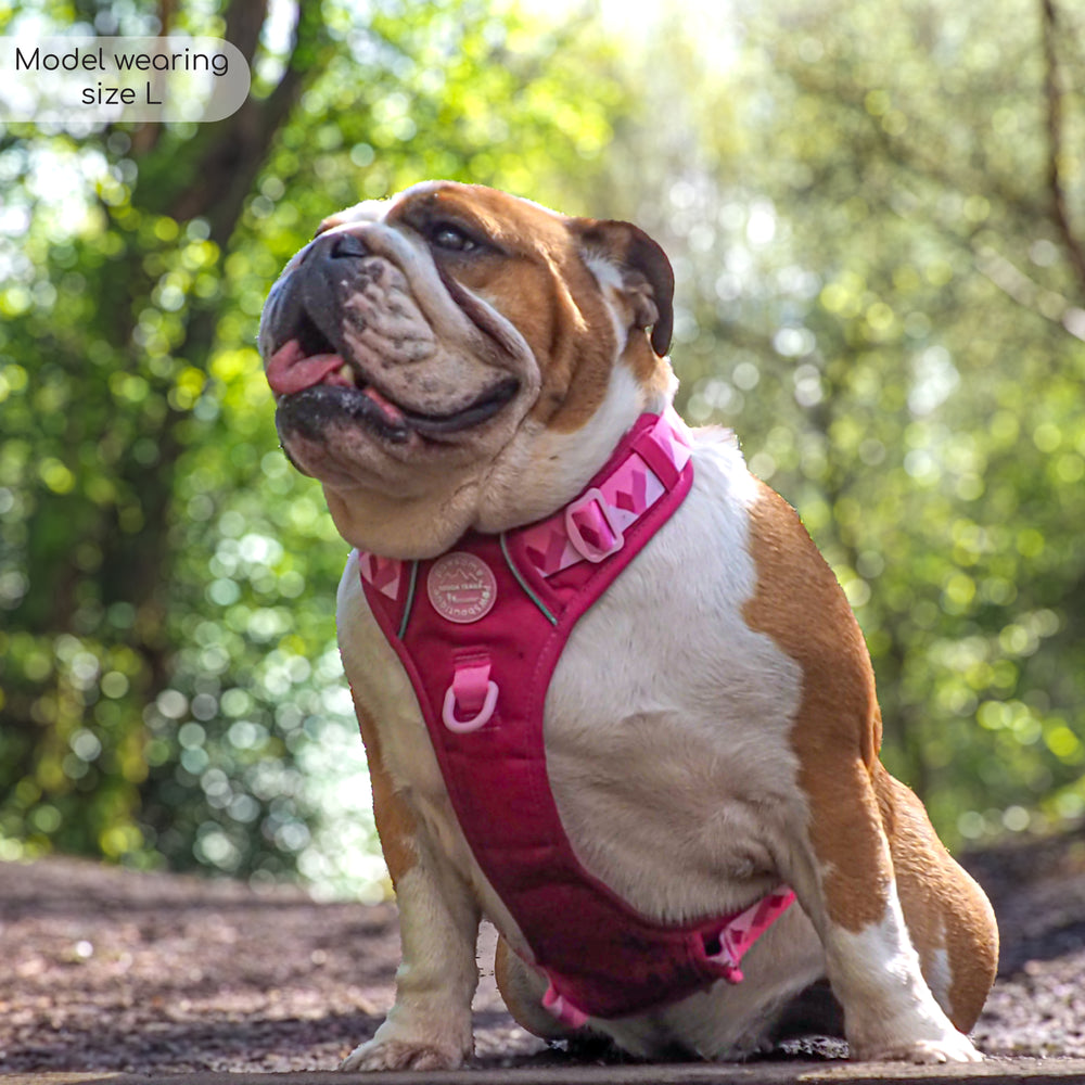 Tough Trails™ Harness - Walkies Ready® Raspberry Pink