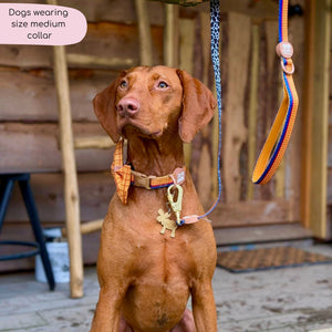 Disney© Collar - Woody