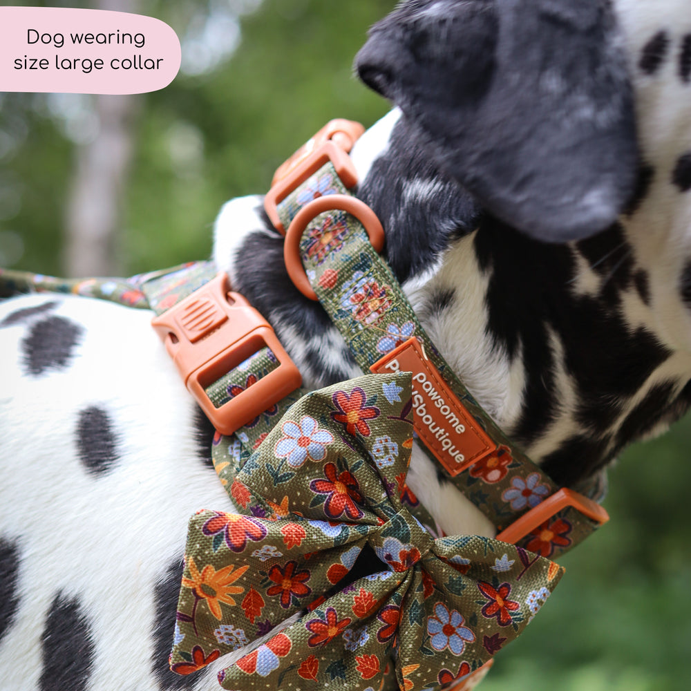 Collar - Rust & Bloom