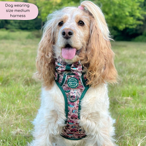 Tough Trails™ Harness -  Adventure Awaits