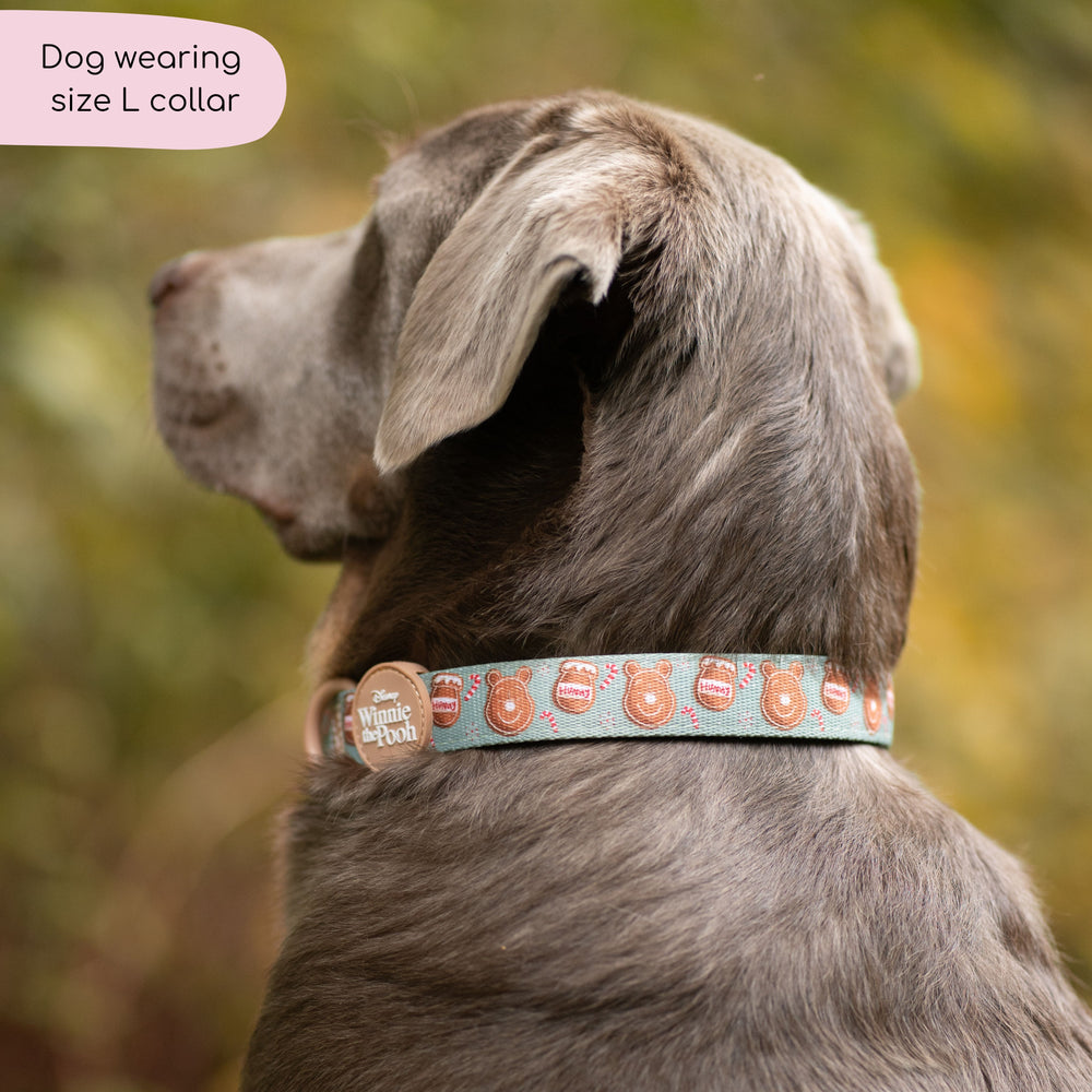 Disney© Collar - Gingerbread Bear Sage