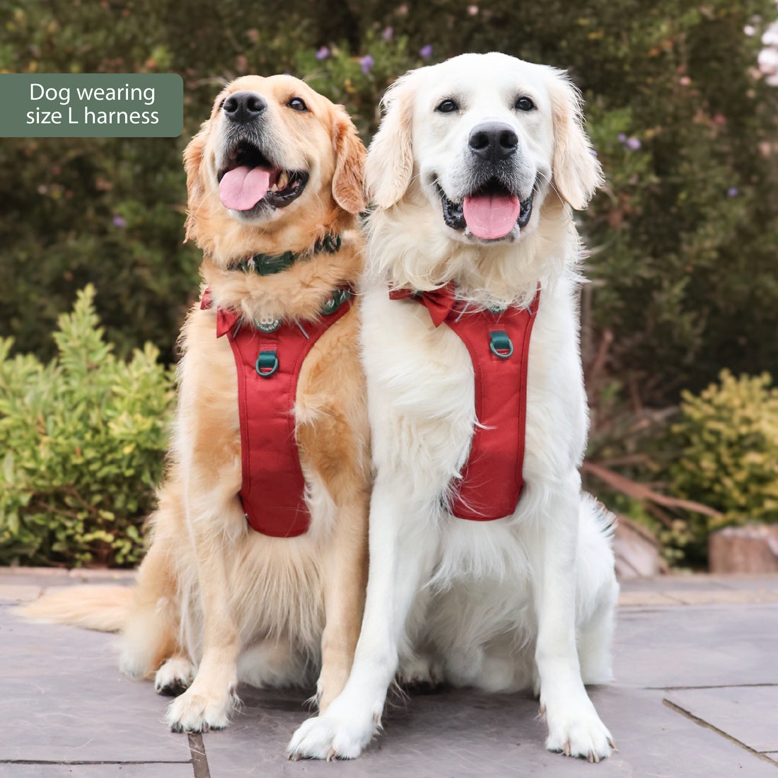 Walkies Ready® Snowy Mountains Ultimate Bundle
