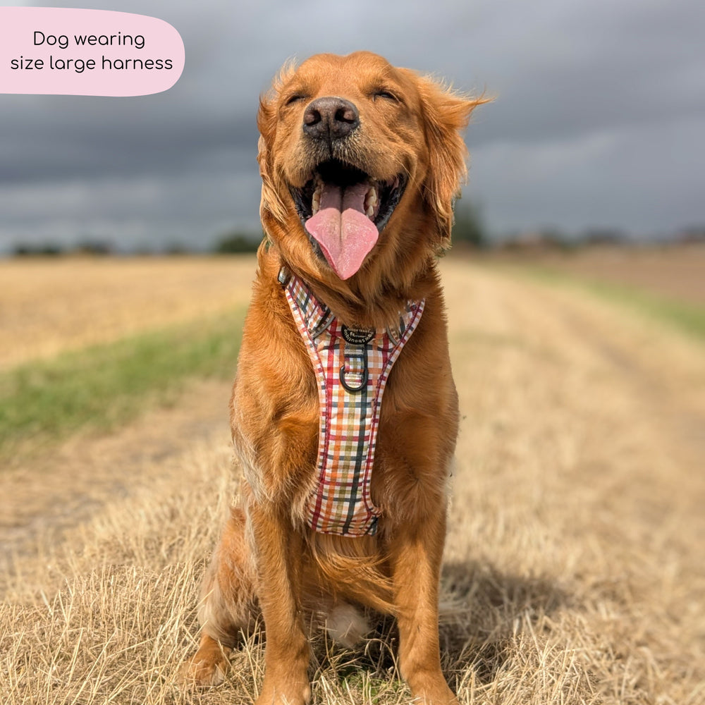 Tough Trails™ Harness - Plaid Pup