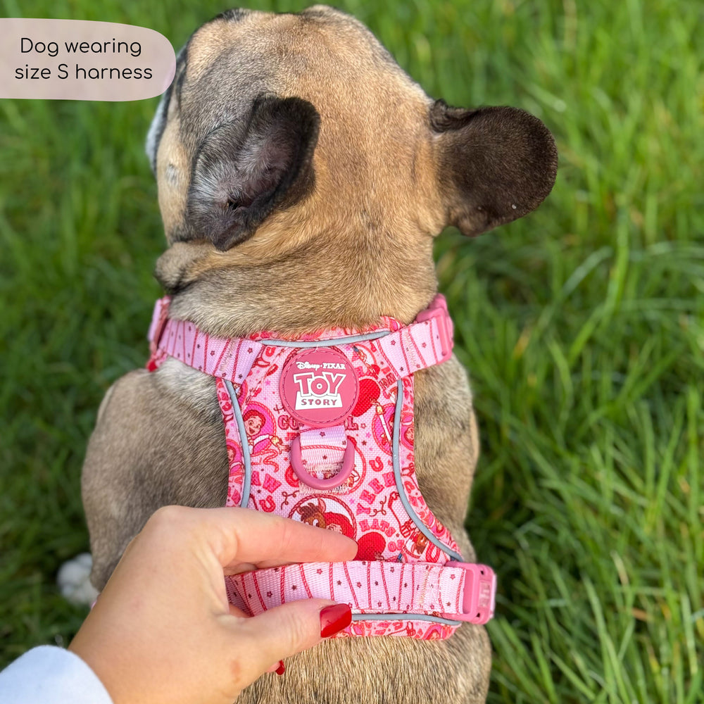 Disney© Tough Trails™ Harness - Jessie