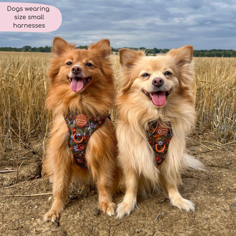 Tough Trails™ Harness - Rust & Bloom