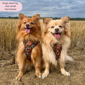 Tough Trails™ Harness - Rust & Bloom