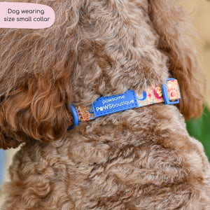 Collar - Celestial Spirit