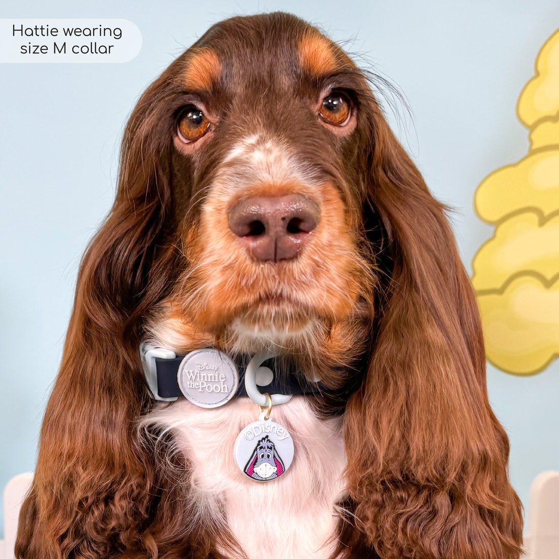 Disney© Waterproof Collar - Eeyore