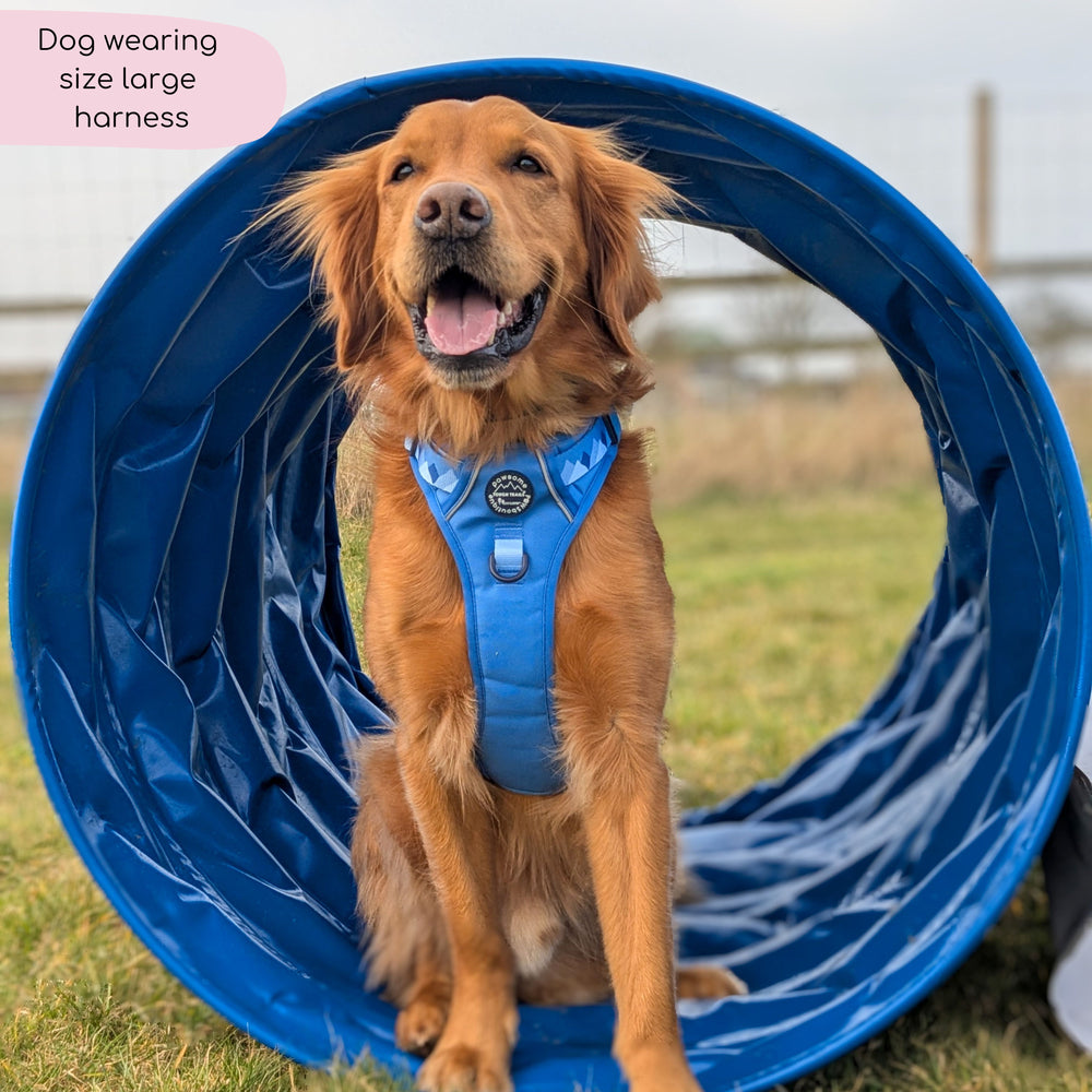 Tough Trails™ Harness - Walkies Ready® Cornflower Blue