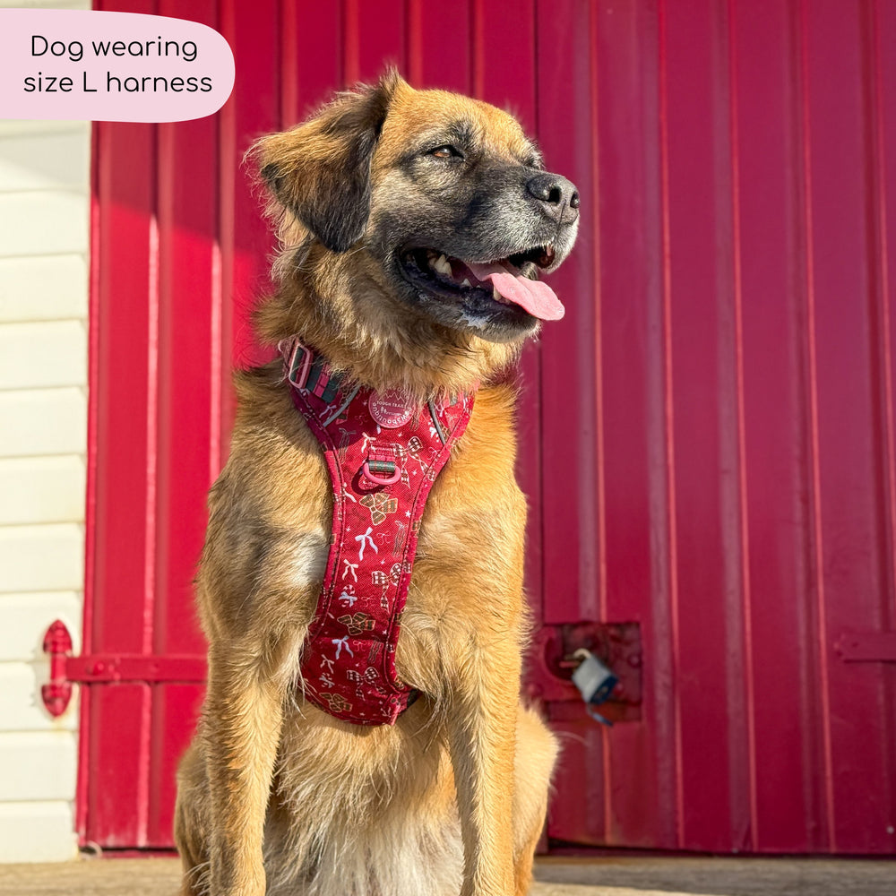 Tough Trails™ Harness - Bows Of Joy