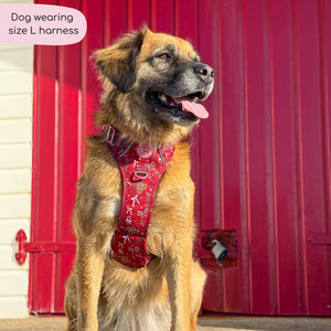 Tough Trails™ Harness - Bows Of Joy