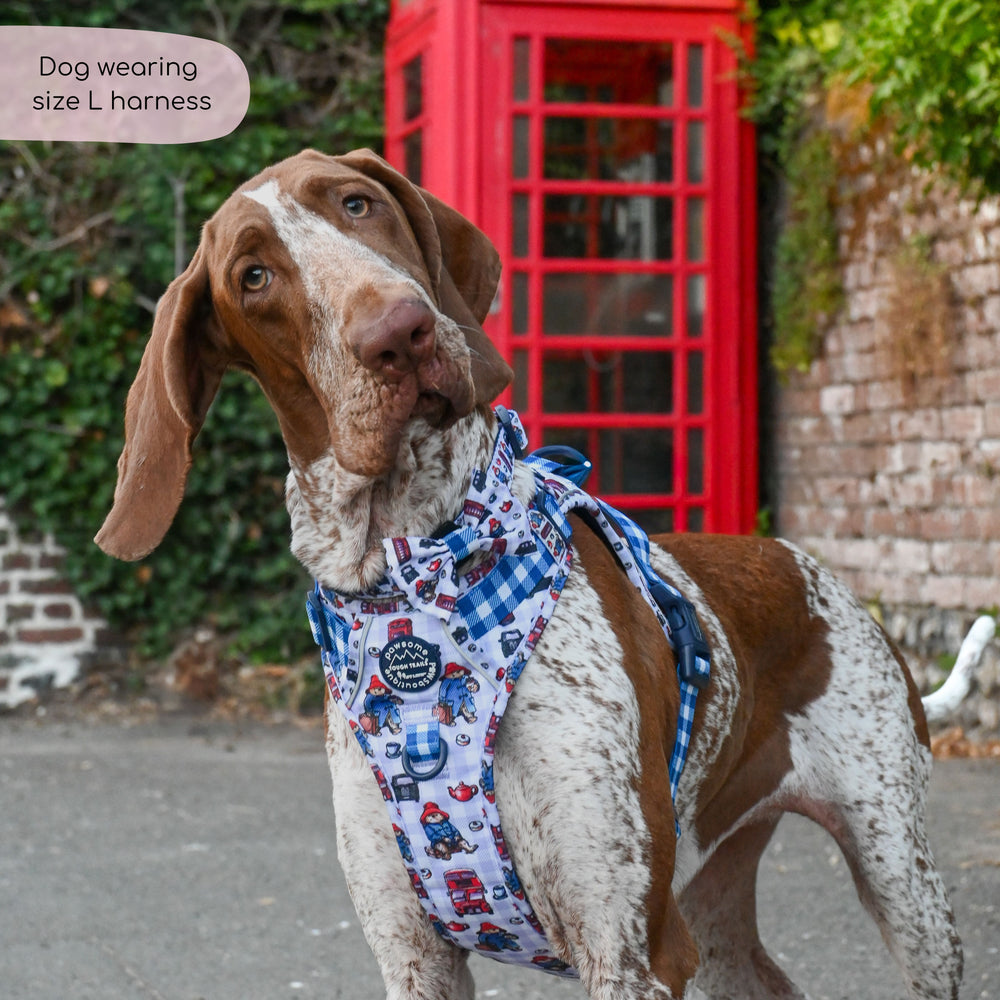 Paddington™ Tough Trails™ Harness - London