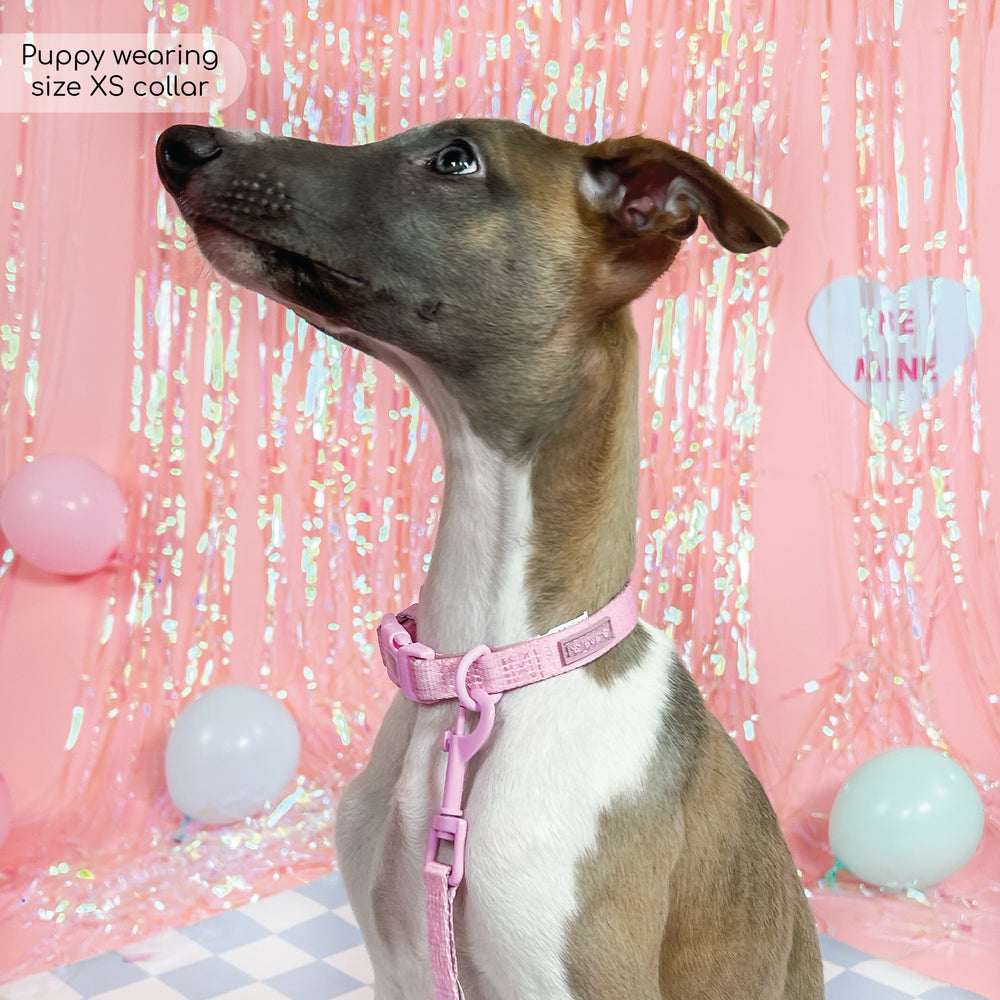 Pawsome Pup Collar and Lead Set - Pink