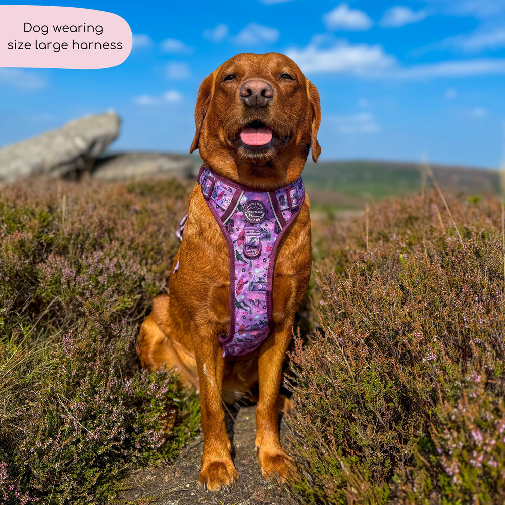 Tough Trails™ Harness - Roaming Wild