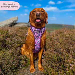 Tough Trails™ Harness - Roaming Wild