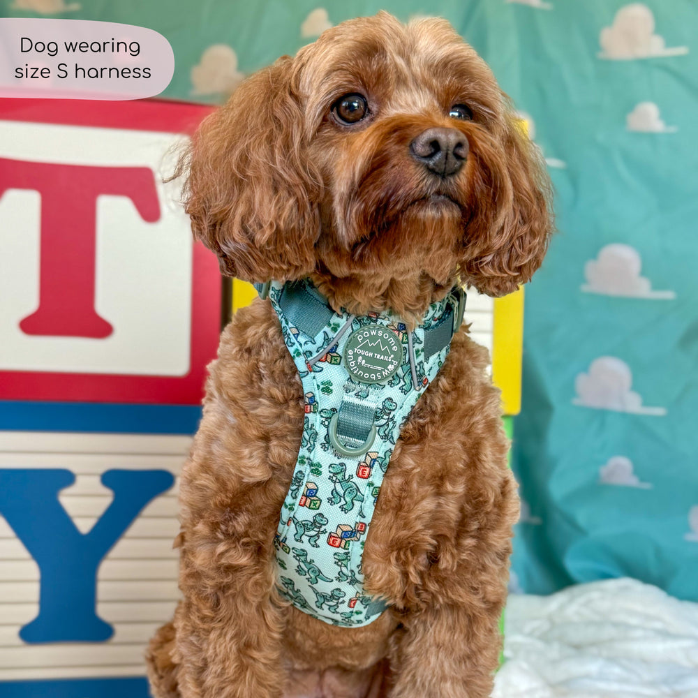 Disney© Tough Trails™ Harness - Rex