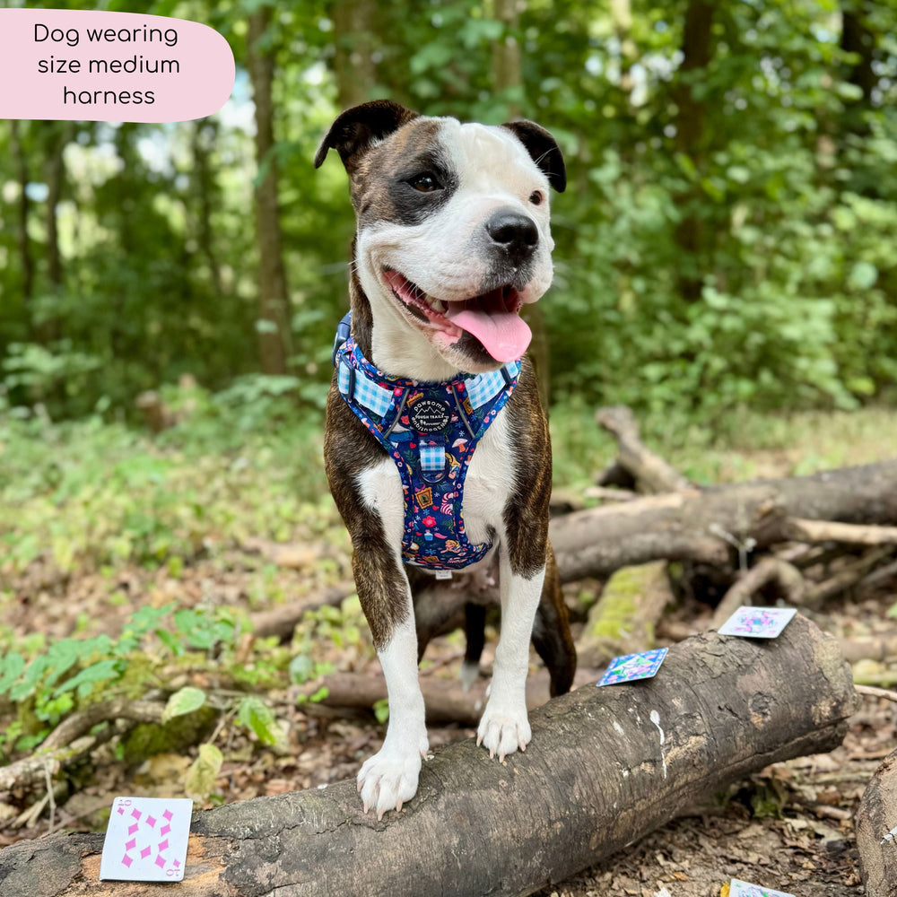 Disney© Tough Trails™ Harness - Alice In Wonderland