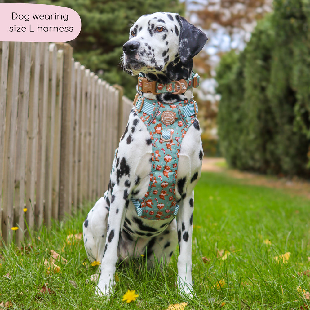 Disney© Tough Trails™ Harness - Gingerbread Bear Sage