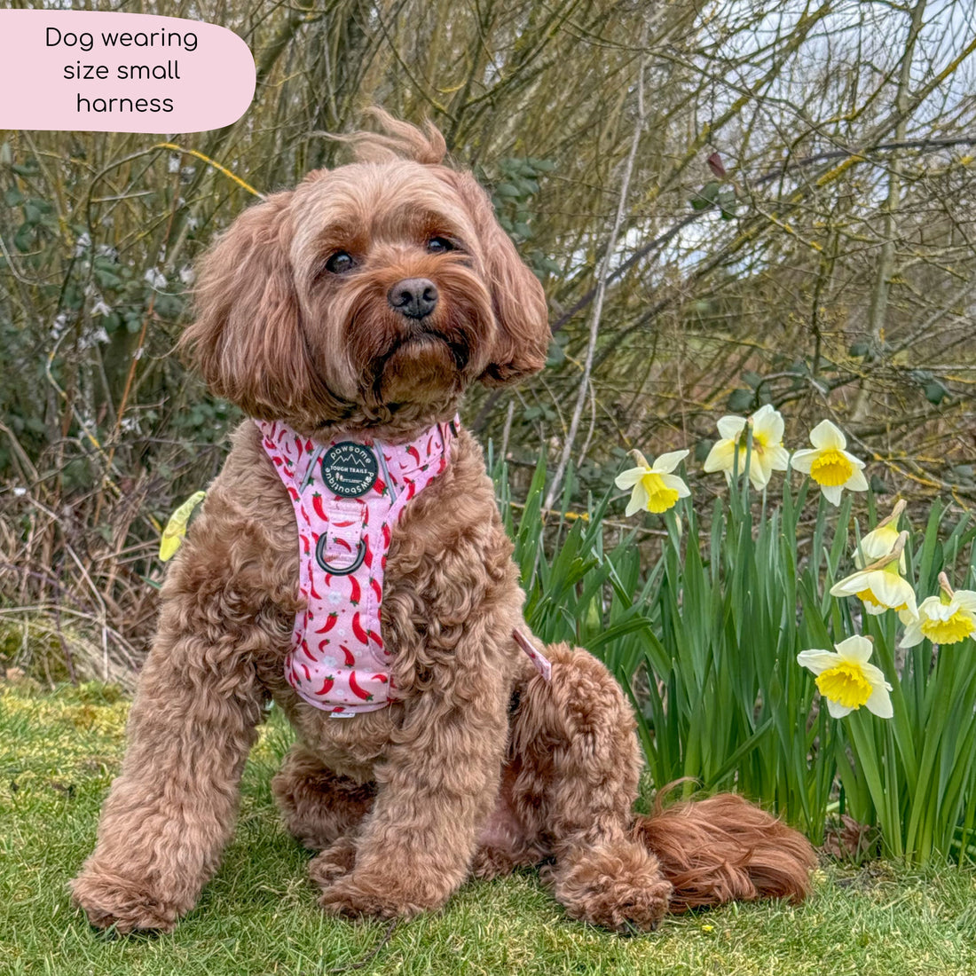 Tough Trails™ Harness - Chilli Dog