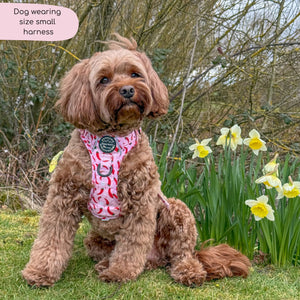 Tough Trails™ Harness - Chilli Dog